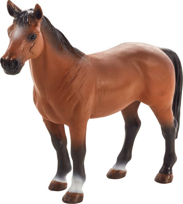 MOJO Trakehner