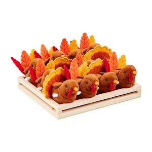 Wind-Up Turkey Toy