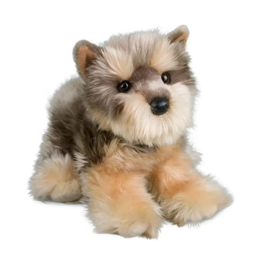 Yettie the Yorkie