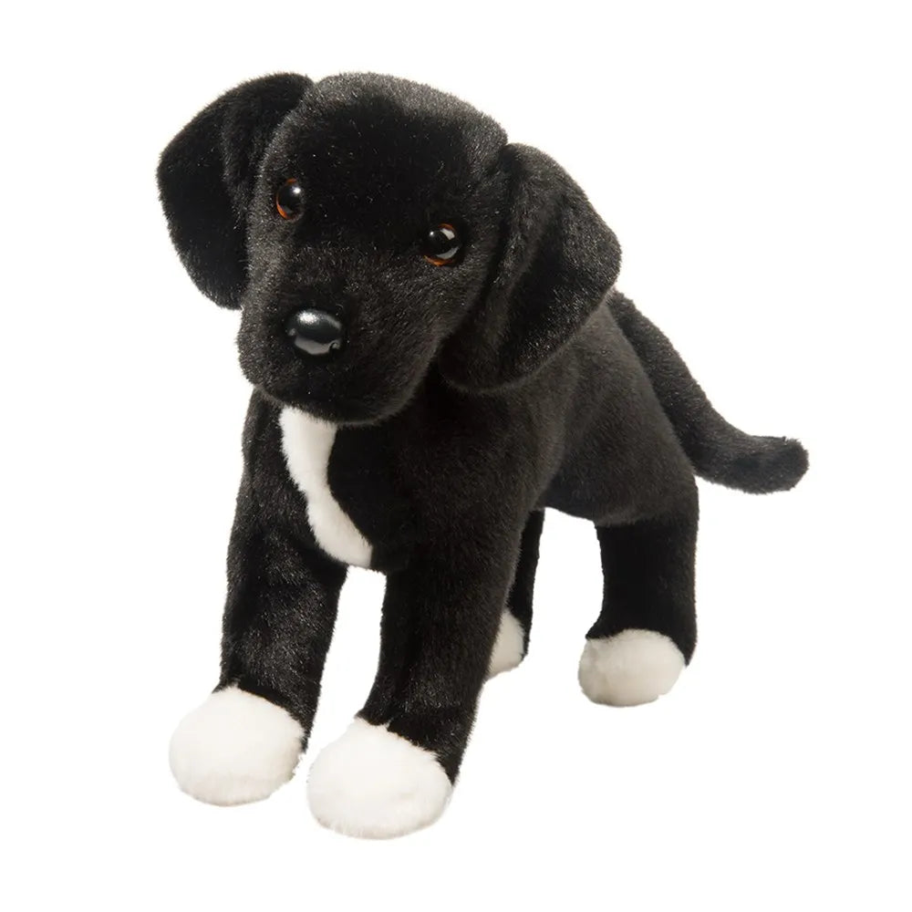 Twister Black Lab / Mix