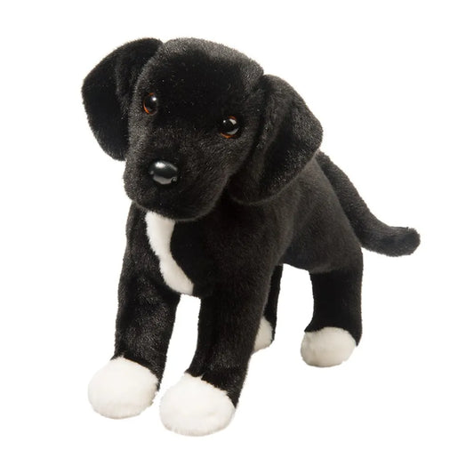 Twister Black Lab / Mix