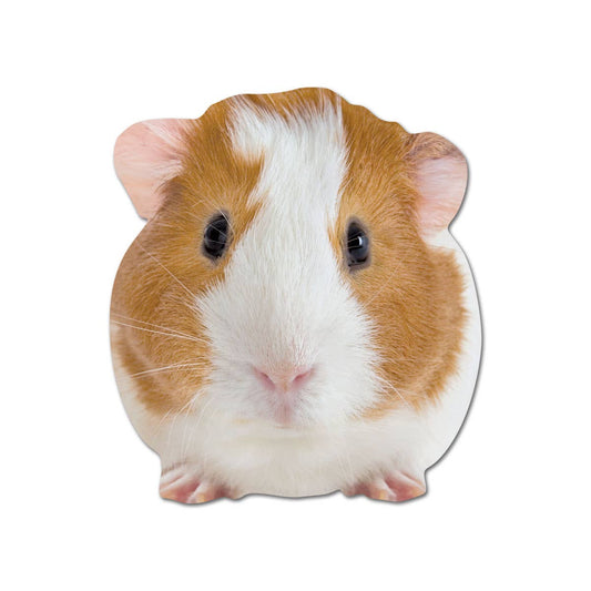 Guinea Pig Blank Diecut Card