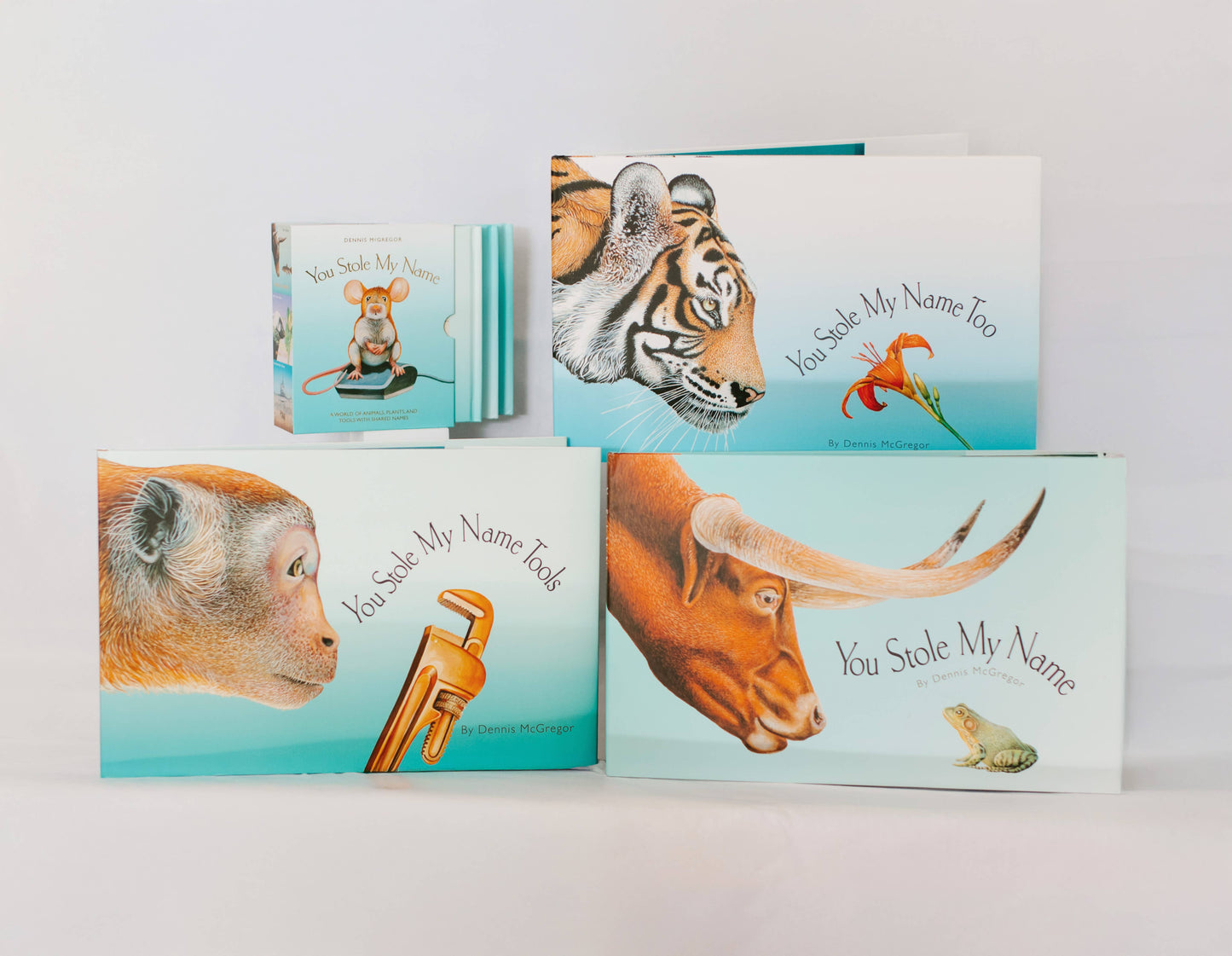 You Stole My Name Too: Picture Book for Kids