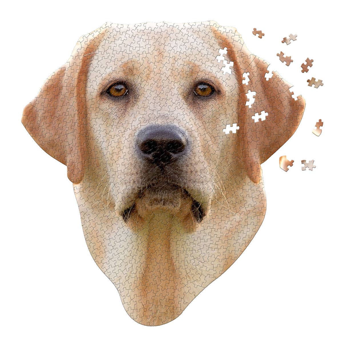 I AM LAB 550 piece puzzle