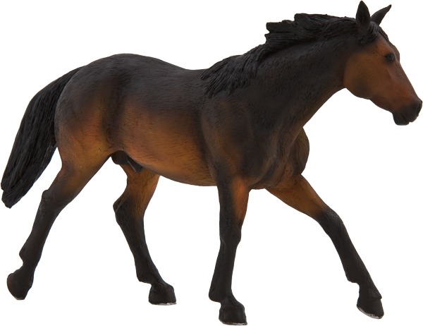 MOJO Quarter Horse Sooty Bay