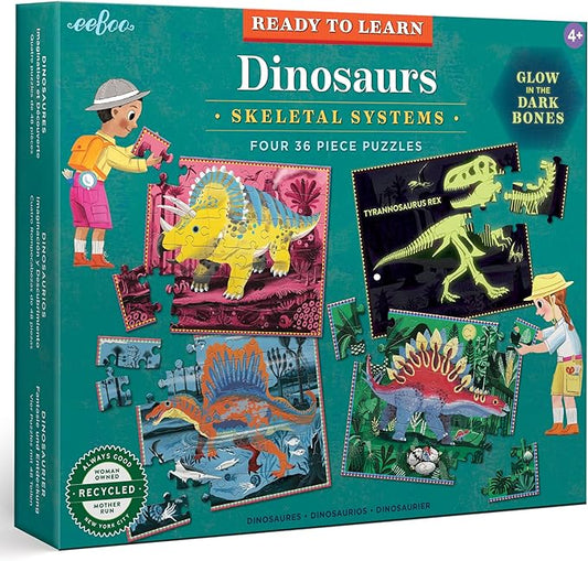 Ready to Learn - Dinosaurs 36Pc Set