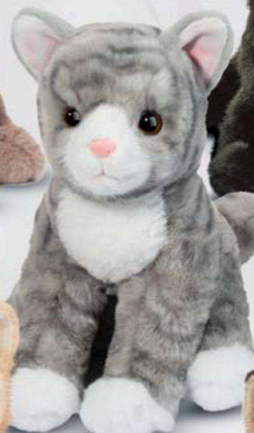 Tabbie Striped Cat