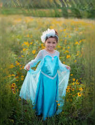 Ice Queen Dress + Cape
