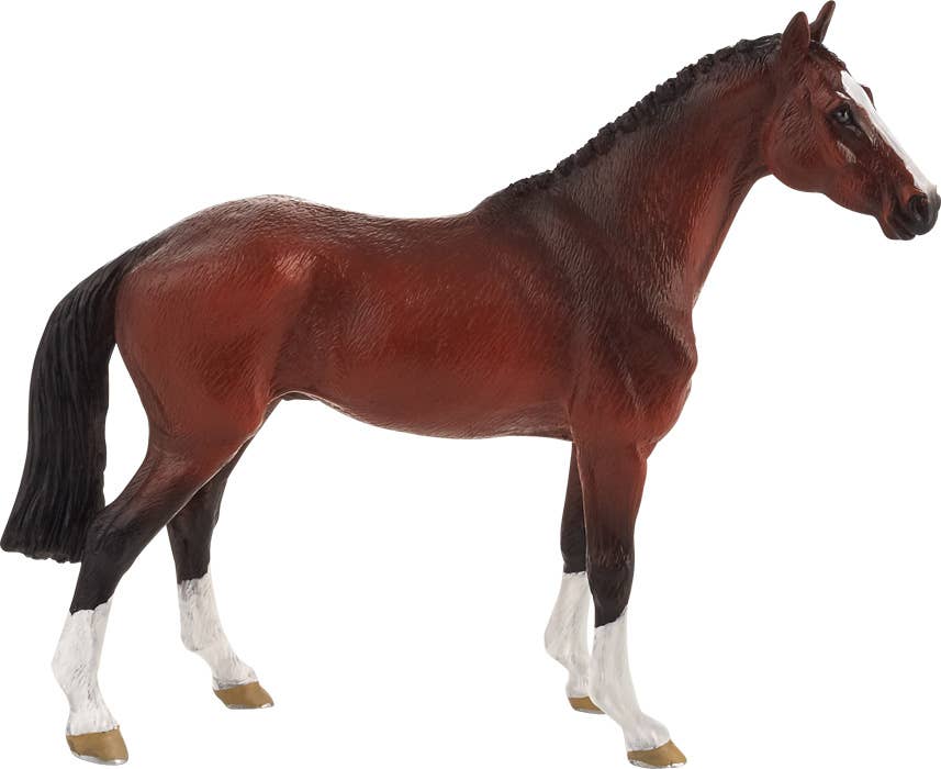 MOJO Dutch Warmblood