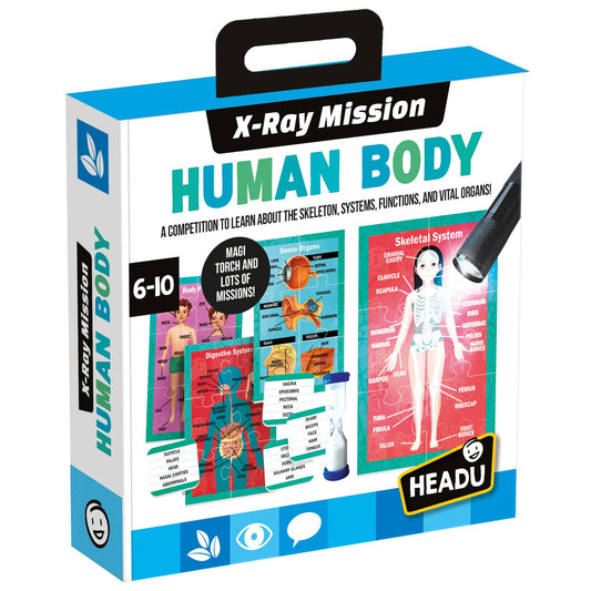 Human Body under X-Ray Educational Toy