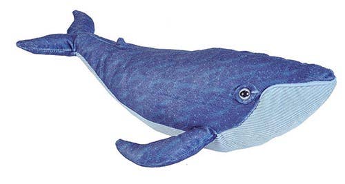 Blue Whale 12"