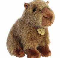 Chattie Capybara Soft