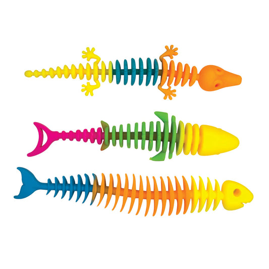 RAINBOW REPTILE SKELETON