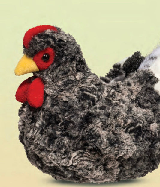 Plush Chickens - Einstein's Attic