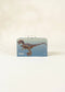 Velociraptor in a Collectible Box