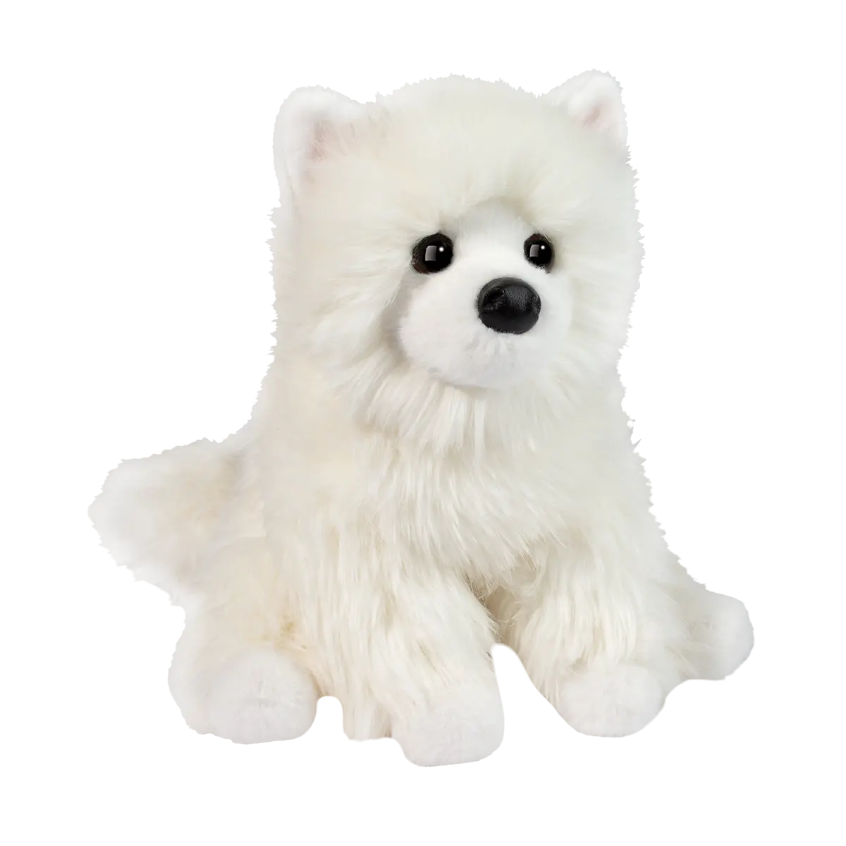 Opo White Pomeranian