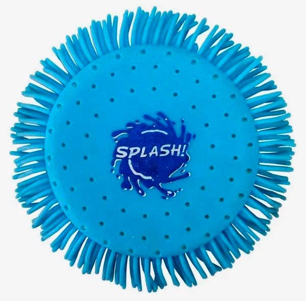 Splash Water Pool & Beach Frisbee