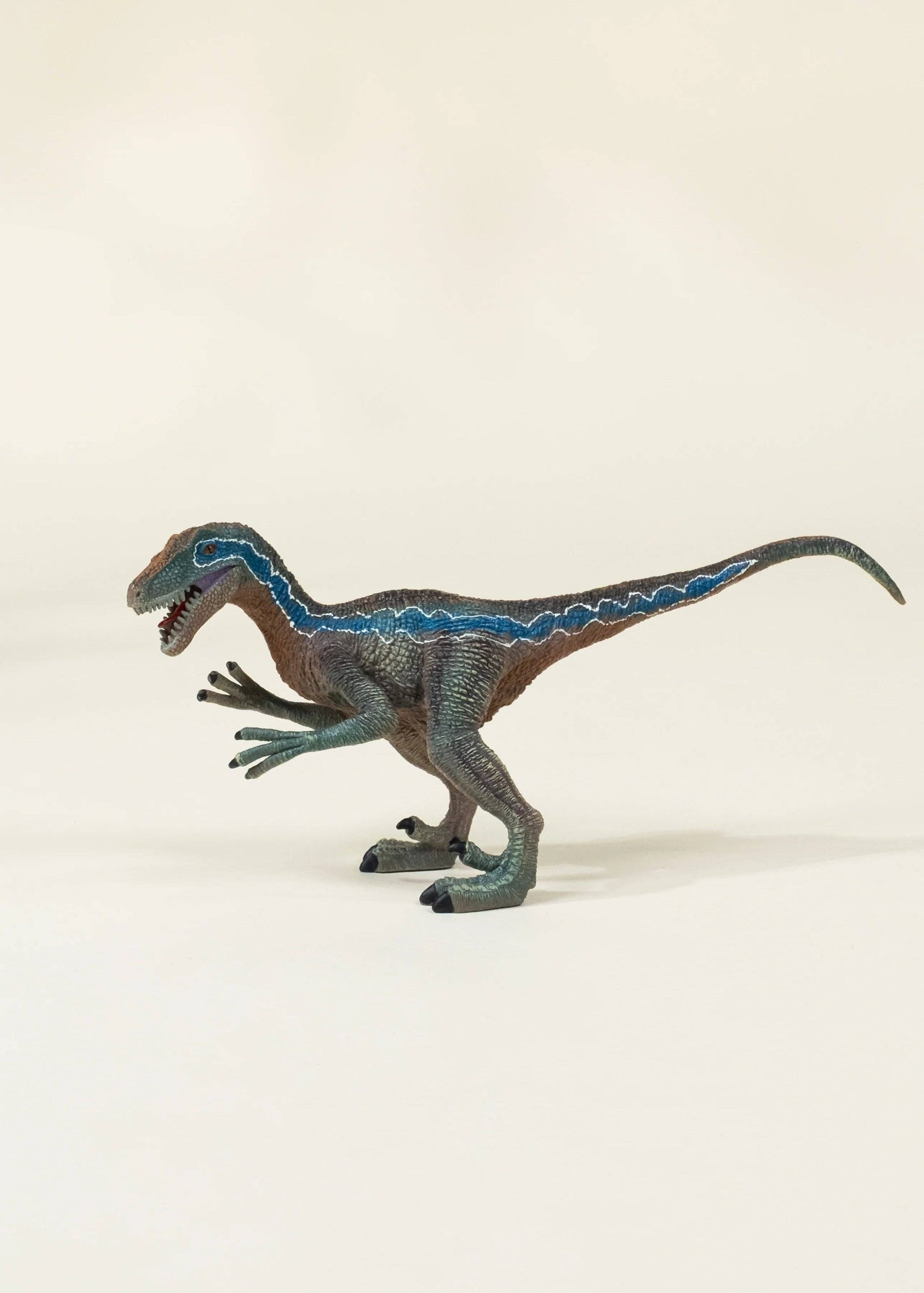 Velociraptor in a Collectible Box