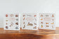 Our Big Book of Animals (Board Book)