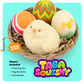 Taba Squishy Chicken Nest Egg Kit
