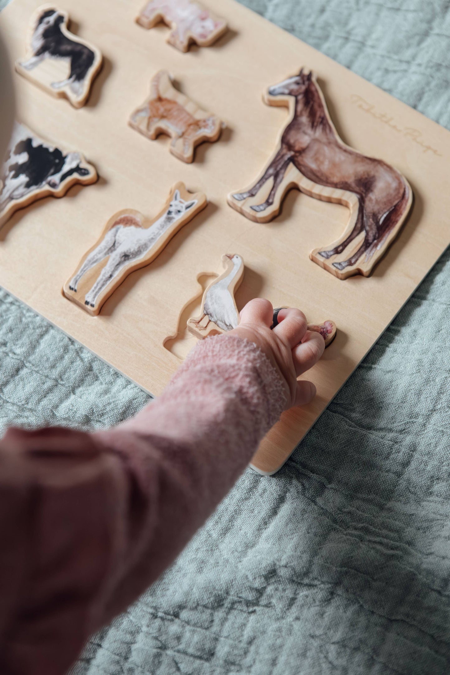 Farm Animals Wooden Puzzle: A Tabitha Paige Puzzle