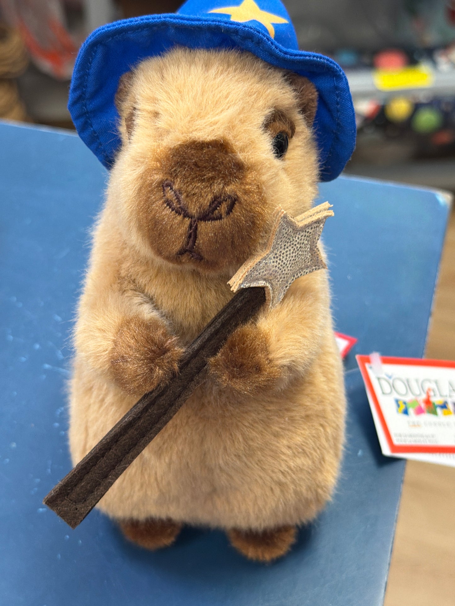 Wizard Capybara