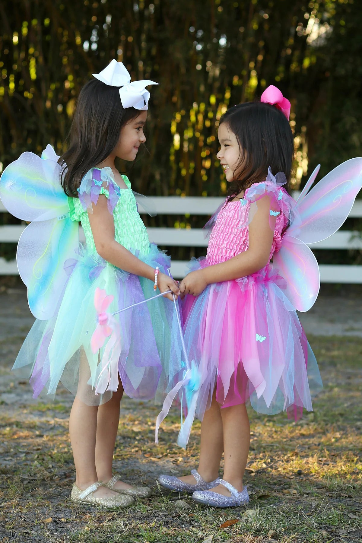 Butterfly Dress & Wings With Wand