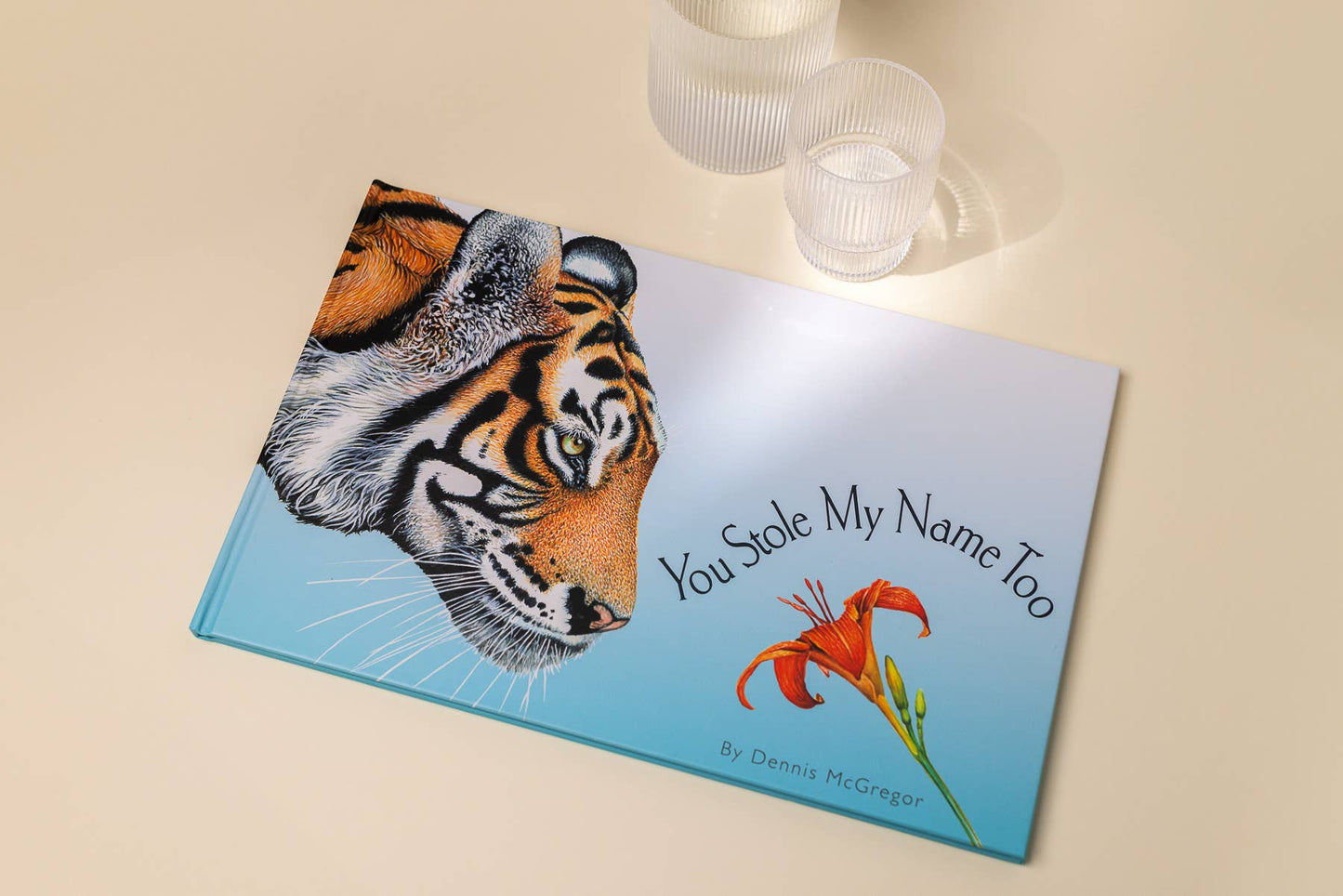 You Stole My Name Too: Picture Book for Kids