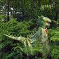 T Tex Green Dragon Cape 4–7y