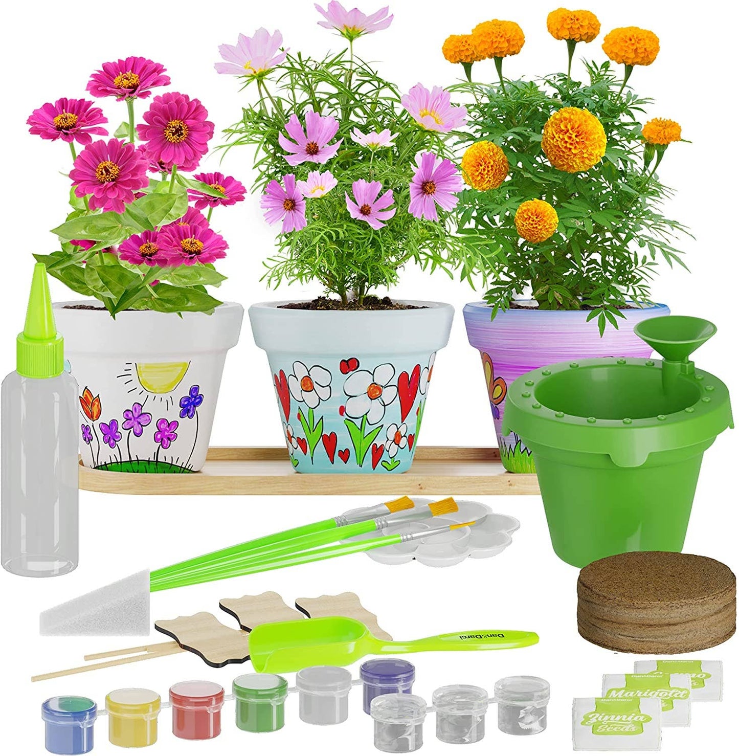 Cast, Paint & Plant Kit for Kids