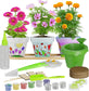 Cast, Paint & Plant Kit for Kids