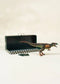 TRex Dinosaur in a Collectible Box