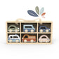 Car Display case w/ 6 vehicles