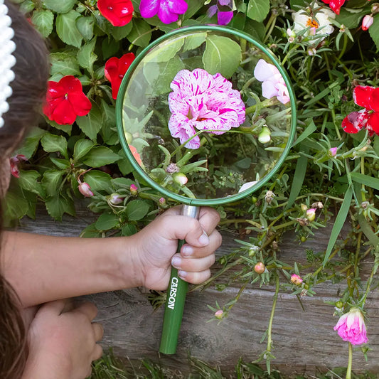 BigEye Acrylic Hand Magnifier
