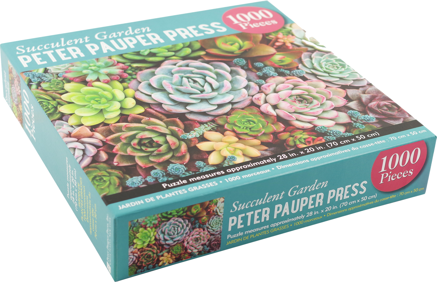 Succulent Garden Jigsaw Puzzle