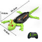 Wall Climbing RC Gecko