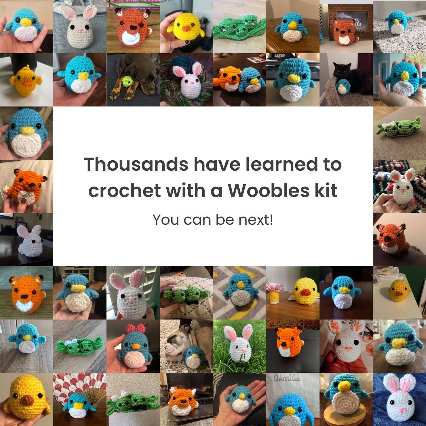 Fox Beginner Crochet Kit