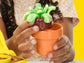 Play-Doh Blooming Flowers Playset