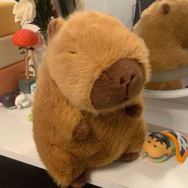 Capybara w/ Turtle Backpack