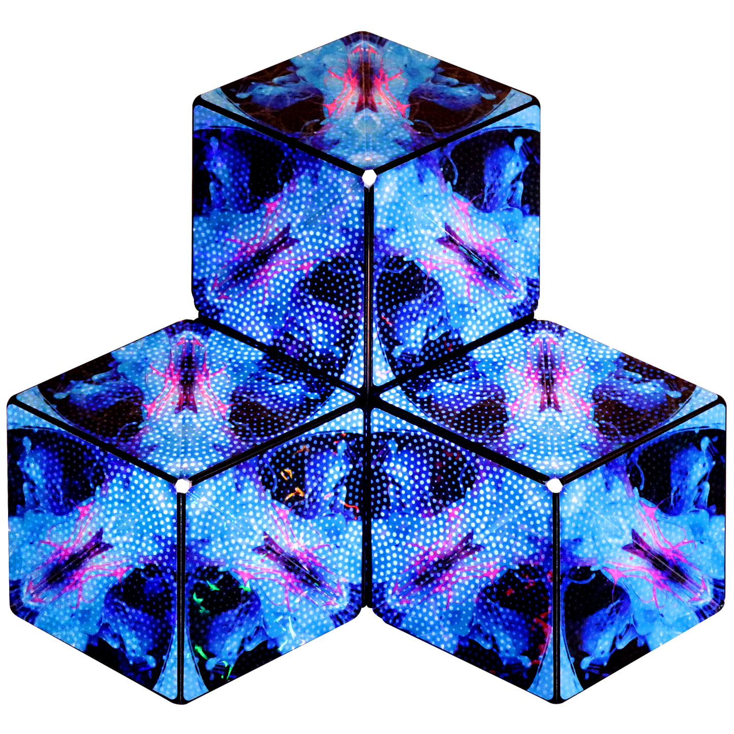 Shashibo Holographic