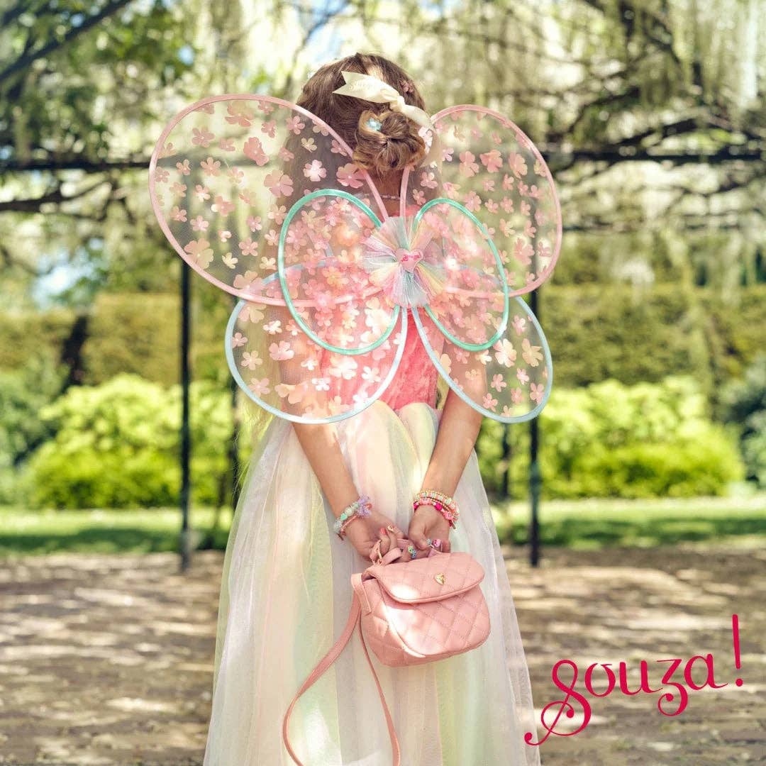 Flora Dress and Wings Set 3-4y