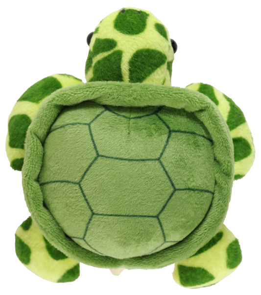 Hug a Sea Turtle Kit