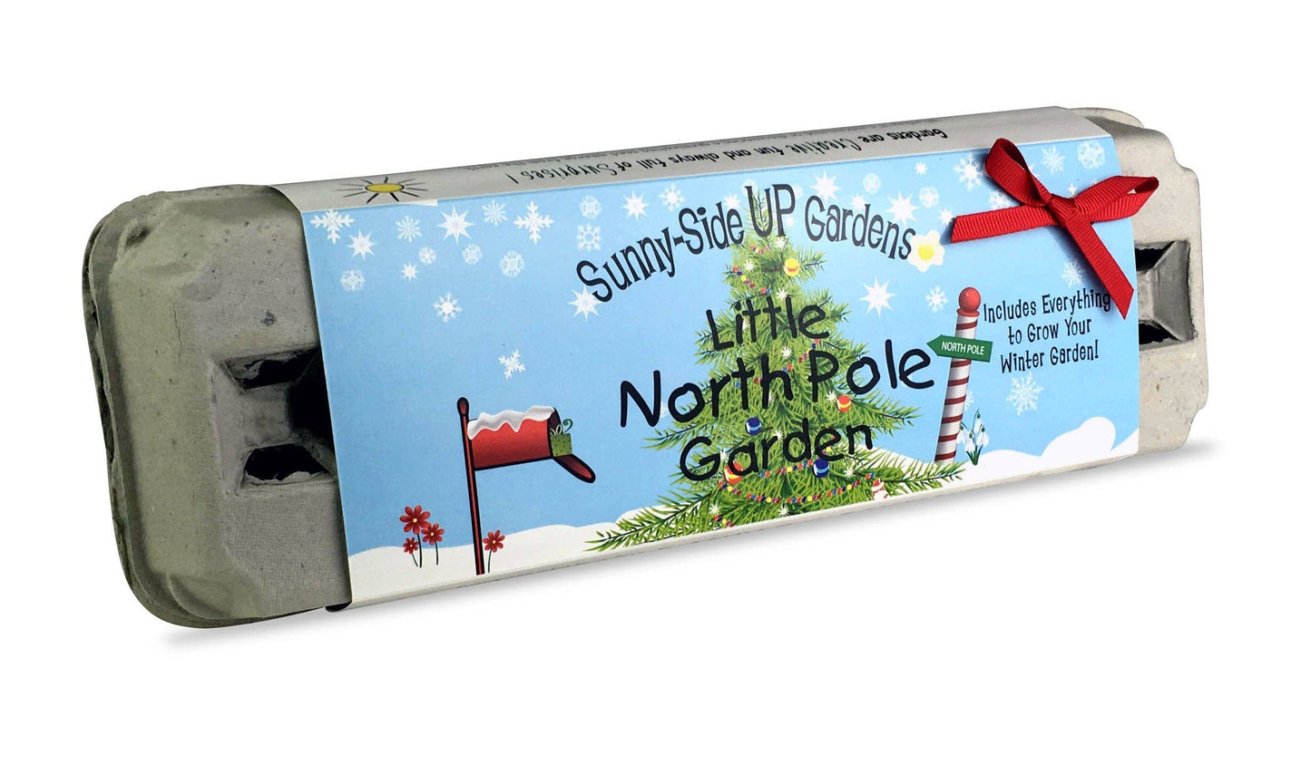 Little North Pole Holiday Grow Kit