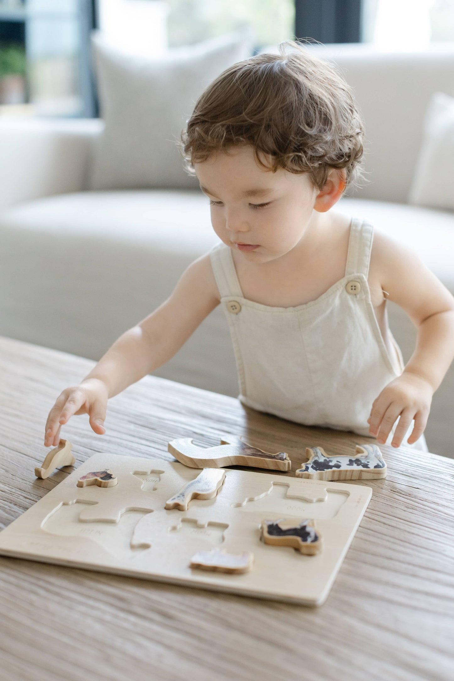 Farm Animals Wooden Puzzle: A Tabitha Paige Puzzle