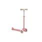ECO SCOOTER - RASPBERRY