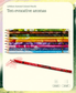 Rub & Sniff™ Scented Colored Pencils 10-pack