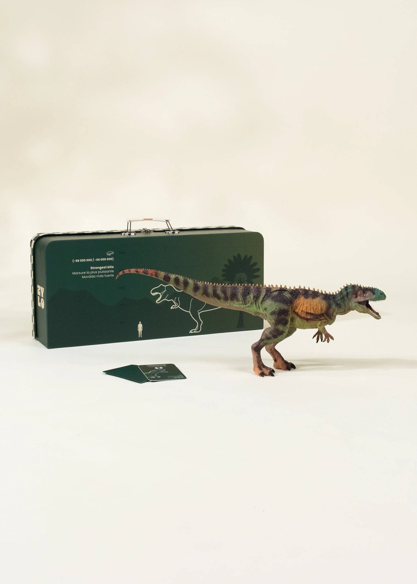 TRex Dinosaur in a Collectible Box