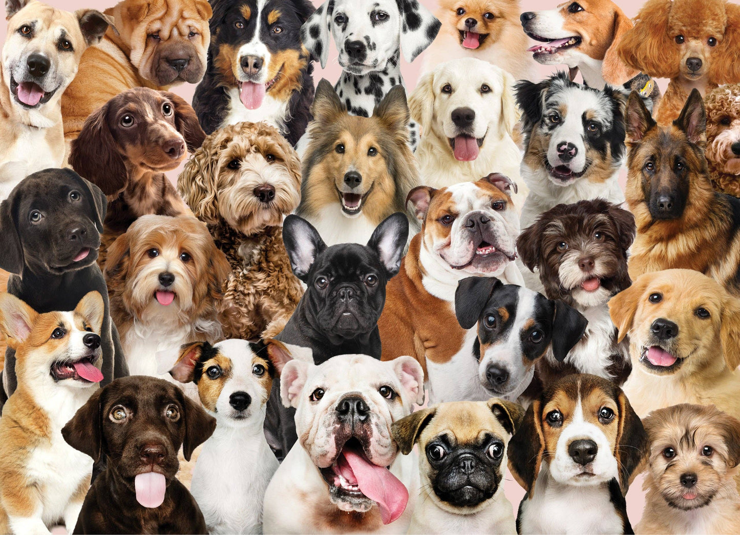 All The Dogs 500 Piece Jigsaw Puzzle