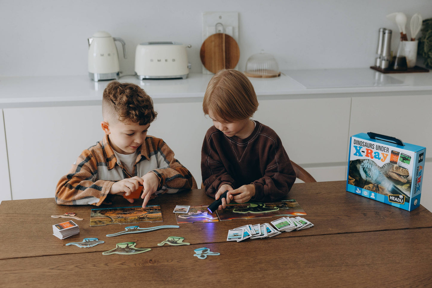 Dinosaurs under X-Ray Educational Toy