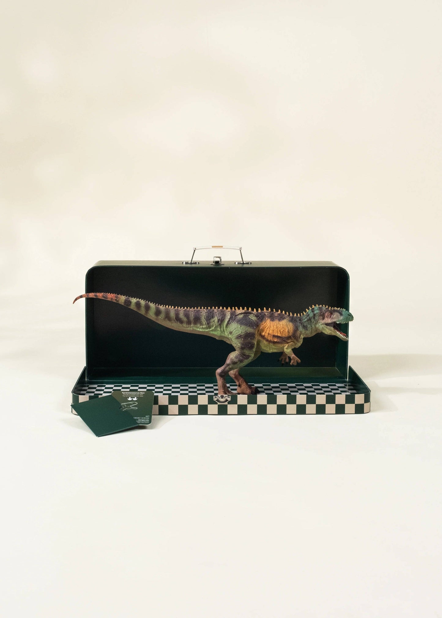 TRex Dinosaur in a Collectible Box